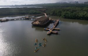 De la playa a la ciénaga: una travesía acuática para conectar con la ciudad
