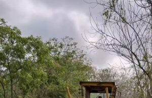La Alcaldía de Juan de Acosta inicia labores de mejora en los caminos rurales para fortalecer la conectividad y el desarrollo económico en las zonas agrícolas del municipio.