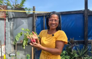 Distrito fortalece tejido social a través de la construcción de huertas comunitarias