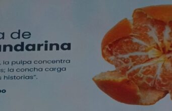 Caribe más grande que 125 países, pero con 20 puntos de pobreza: Olimpo busca la Presidencia
