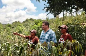Alcalde de Baranoa y gestora social impulsan preventas para apoyar a las hacedoras del Guandú y el Bollo de Yuca de Sibarco