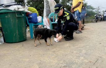 En Montería, la Policía Nacional continua llevando alimento a mascotas afectadas por las inundaciones
