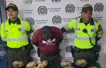 Golpe Contundente al tráfico ilegal de fauna silvestre en el Atlántico: 10 hicoteas recuperadas y un capturado