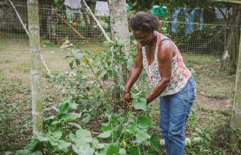 Sector agropecuario continúa siendo generador de empleo al iniciar 2026
