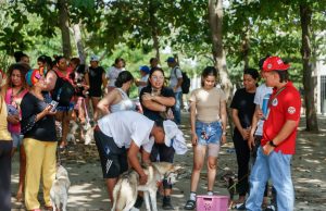 Soledad promueve la salud y el bienestar de las mascotas