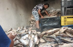 pescado económico de sucre dinamiza la semana santa en el sur de barranquilla
