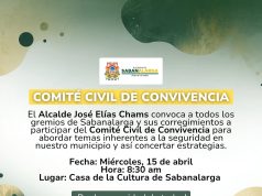 Convocatoria Comité Civil de Convivencia