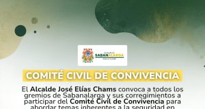 Convocatoria Comité Civil de Convivencia