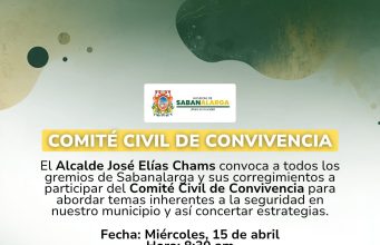 Convocatoria Comité Civil de Convivencia