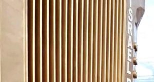 Danielito,acordeonero mexicano fiel seguidor de El Binomio de Oro