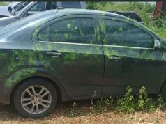 Desaparición de Yulixa Toloza entra en fase clave: capturan a dos hombres y hallan vehículo usado tras procedimiento estético