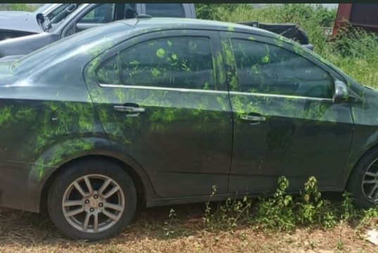 Desaparición de Yulixa Toloza entra en fase clave: capturan a dos hombres y hallan vehículo usado tras procedimiento estético
