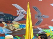 Pedro Adán Torres Pérez asume curul en la Cámara de Representantes por la Circunscripción Afrodescendiente