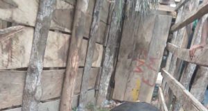Muerte de un toro durante corralejas en Magangué reaviva el debate sobre el bienestar animal