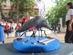 Con “mona” en mano, Gobernador Verano derrumba focos para dengue en Juan de Acosta