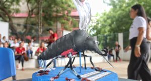 Con “mona” en mano, Gobernador Verano derrumba focos para dengue en Juan de Acosta