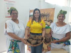 La fiesta de sabor, cultura y economía popular del Atlántico vuelve con el Festival del Pastel de Pital de Megua