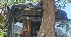 Bus de Transmetro terminó contra un árbol tras aparente falla mecánica; no hubo personas lesionadas