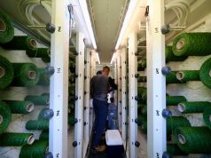 La transformación del Supermetro sigue en marcha con la instalación del césped híbrido
