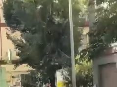 Terremoto de 4,7 sacude Granada y activa medidas preventivas
