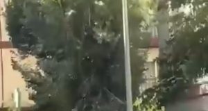 Terremoto de 4,7 sacude Granada y activa medidas preventivas