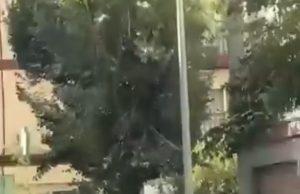 Terremoto de 4,7 sacude Granada y activa medidas preventivas